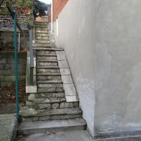 High Park Single Room With Personal Washroom And Kitchen Toronto Exterior foto
